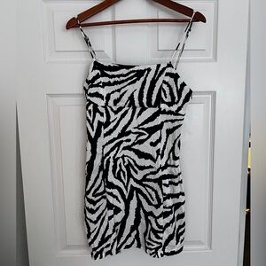 Animal print Zebra Zara Shirt summer dress